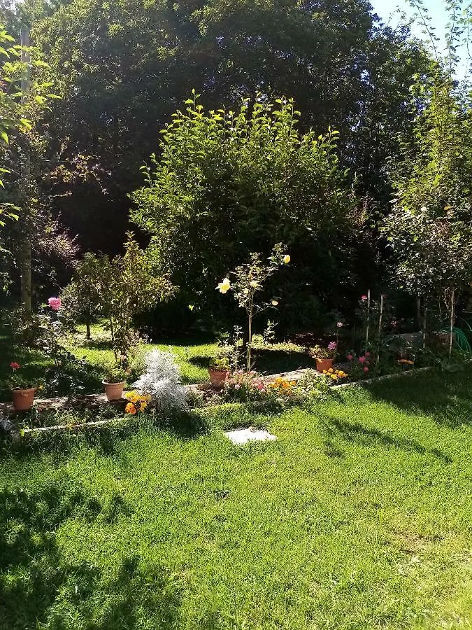 Casa Vacanza Il Poggio Apartment Saragiolo